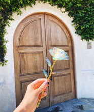 Afbeelding in Gallery-weergave laden, Kleurrijke Galaxy Rose met liefde
