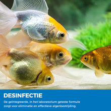 Afbeelding in Gallery-weergave laden, Aquarium zuiverend poeder