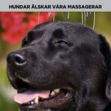 Afbeelding in Gallery-weergave laden, Haarstimulatie en ontspanning Handheld hoofdmassageapparaat