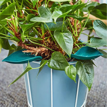 Afbeelding in Gallery-weergave laden, Funny Watering Leaves (6pcs)