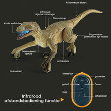 Afbeelding in Gallery-weergave laden, Dinosaurus met afstandsbediening