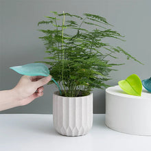 Afbeelding in Gallery-weergave laden, Funny Watering Leaves (6pcs)