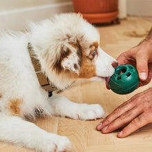 Afbeelding in Gallery-weergave laden, Opvulbaar Slow Food-speelgoed voor honden