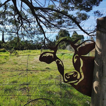 Afbeelding in Gallery-weergave laden, Boerderij gluren dieren metalen decoratie