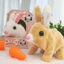 Afbeelding in Gallery-weergave laden, Bunny Toys Educatief interactief speelgoed