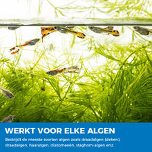 Afbeelding in Gallery-weergave laden, Aquarium zuiverend poeder