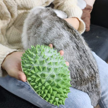 Afbeelding in Gallery-weergave laden, Durian Pet krab- en ontharingsspeeltje