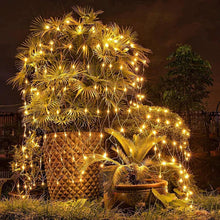 Afbeelding in Gallery-weergave laden, 🌟Zonne-visnetlicht🌟