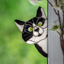 Afbeelding in Gallery-weergave laden, Grappige Dierendecoratie (Kat & Hond)