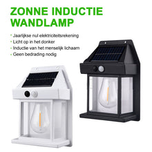 Afbeelding in Gallery-weergave laden, š”š”Wandlamp op zonne-energie