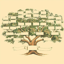 Afbeelding in Gallery-weergave laden, Stamboom genealogie diagram