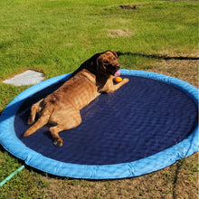 Afbeelding in Gallery-weergave laden, Folding Pet Bath Pad
