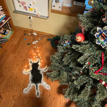 Afbeelding in Gallery-weergave laden, Fried Cat Rug