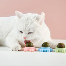 Afbeelding in Gallery-weergave laden, Katten knip muur Bal eetbaar katten speelgoed