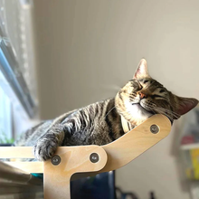 Afbeelding in Gallery-weergave laden, Kattenmand voor het raam