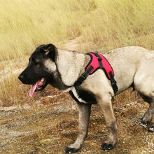 Afbeelding in Gallery-weergave laden, No-Pull hondentuig, verstelbaar harnas voor honden