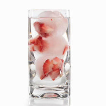Afbeelding in Gallery-weergave laden, Ice Ball Maker Mold