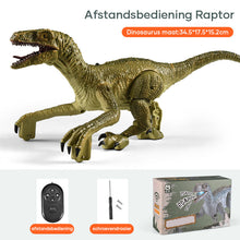 Afbeelding in Gallery-weergave laden, Dinosaurus met afstandsbediening