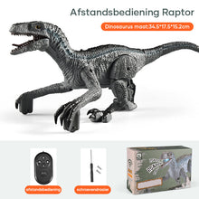 Afbeelding in Gallery-weergave laden, Dinosaurus met afstandsbediening