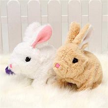 Afbeelding in Gallery-weergave laden, Bunny Toys Educatief interactief speelgoed