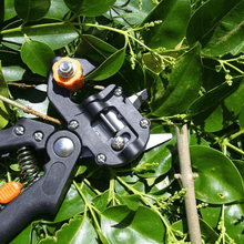 Afbeelding in Gallery-weergave laden, Domom® Professional Garden Enting Tool Kit