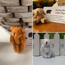 Afbeelding in Gallery-weergave laden, Een kleine zakbeer knuffel