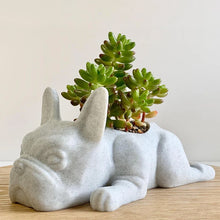 Afbeelding in Gallery-weergave laden, Dierlijke meditatie hars ornament
