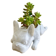 Afbeelding in Gallery-weergave laden, Dierlijke meditatie hars ornament