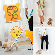 Afbeelding in Gallery-weergave laden, Handvrij Honden Riemen