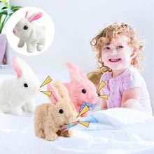 Afbeelding in Gallery-weergave laden, Bunny Toys Educatief interactief speelgoed
