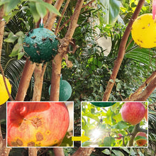 Afbeelding in Gallery-weergave laden, Opknoopbare Milieuvriendelijke Fruitvlieg Kleefvallen