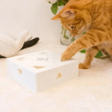 Afbeelding in Gallery-weergave laden, Elektrische Funbox voor Katten