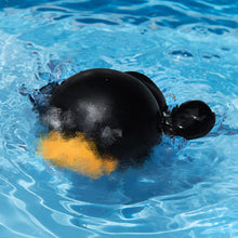 Afbeelding in Gallery-weergave laden, Zwemmende pinguïn