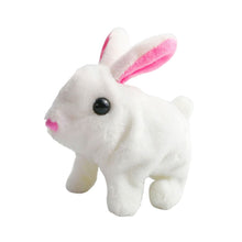 Afbeelding in Gallery-weergave laden, Bunny Toys Educatief interactief speelgoed