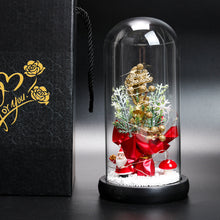 Afbeelding in Gallery-weergave laden, Betoverde Kerstboom
