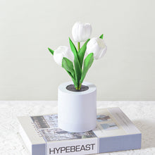 Afbeelding in Gallery-weergave laden, LED oplaadbaar tulp nachtlampje
