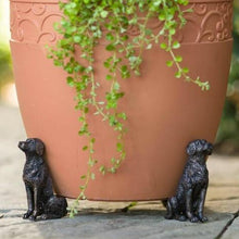 Afbeelding in Gallery-weergave laden, Schattige Potje Voeten in Dierenvorm (Set van 3)
