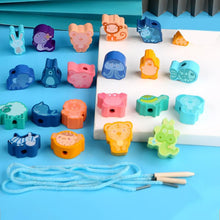 Afbeelding in Gallery-weergave laden, Educatieve veterkralen
