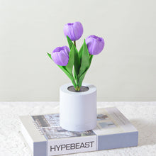 Afbeelding in Gallery-weergave laden, LED oplaadbaar tulp nachtlampje
