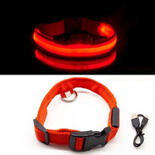 Afbeelding in Gallery-weergave laden, LED-halsband voor huisdieren
