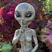 Afbeelding in Gallery-weergave laden, Alien Garden Statue
