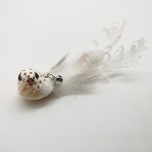 Afbeelding in Gallery-weergave laden, Kitten Spelen Teaser Wand Speelgoed
