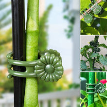 Afbeelding in Gallery-weergave laden, Clips voor planten
