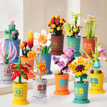 Afbeelding in Gallery-weergave laden, Koffiekopjes planten potblokken
