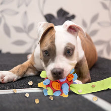 Afbeelding in Gallery-weergave laden, Honden kauw speeltje
