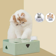 Afbeelding in Gallery-weergave laden, Elektrische Funbox voor Katten
