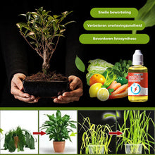Afbeelding in Gallery-weergave laden, Plantengroeibevorderend supplement
