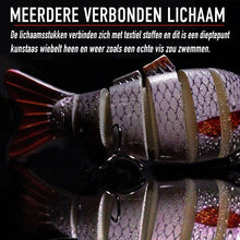 Afbeelding in Gallery-weergave laden, Bionisch Kunstaas Set
