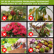 Afbeelding in Gallery-weergave laden, Plantengroeibevorderend supplement
