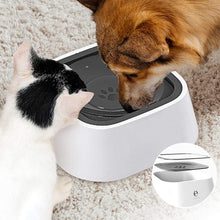 Afbeelding in Gallery-weergave laden, Pet's Zero Splash-kom
